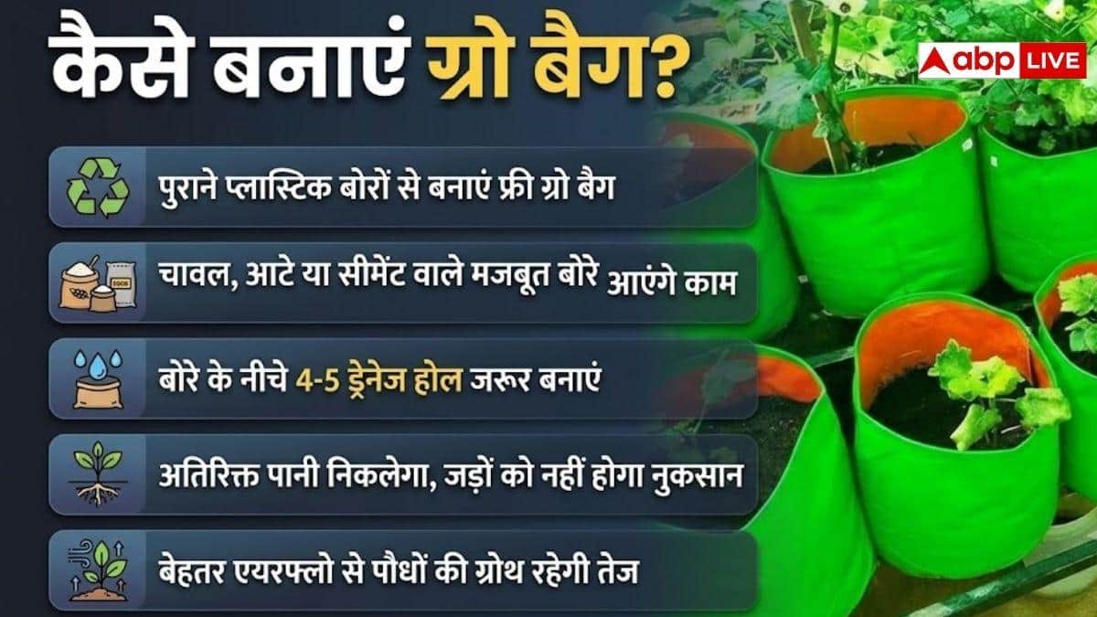 जगह कम है तो छत पर उगाएं सब्जियां, बोरे से बनाएं ग्रो बैग
