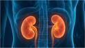 Kidney Problems : కిడ్నీలు ఫెయిల్ అయ్యే ముందు ఈ 7 సంకేతాలు కనిపిస్తాయట.. ఇగ్నోర్ చేయకండి
