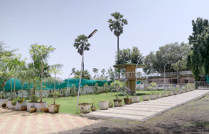 हरियाली के बीच मिथुन दा का सुकून - मिथुन चक्रवर्ती का मड आइलैंड वाला बंगला सिर्फ एक घर नहीं, बल्कि परिवार की पुरानी यादों और सुकून का ठिकाना है. चारों ओर फैली हरियाली इस जगह को मुंबई की भागदौड़ से बिल्कुल अलग बनाती है. परिवार यहां आकर साथ वक्त बिताता है और खुद को ‘डिटॉक्स’ करता है.