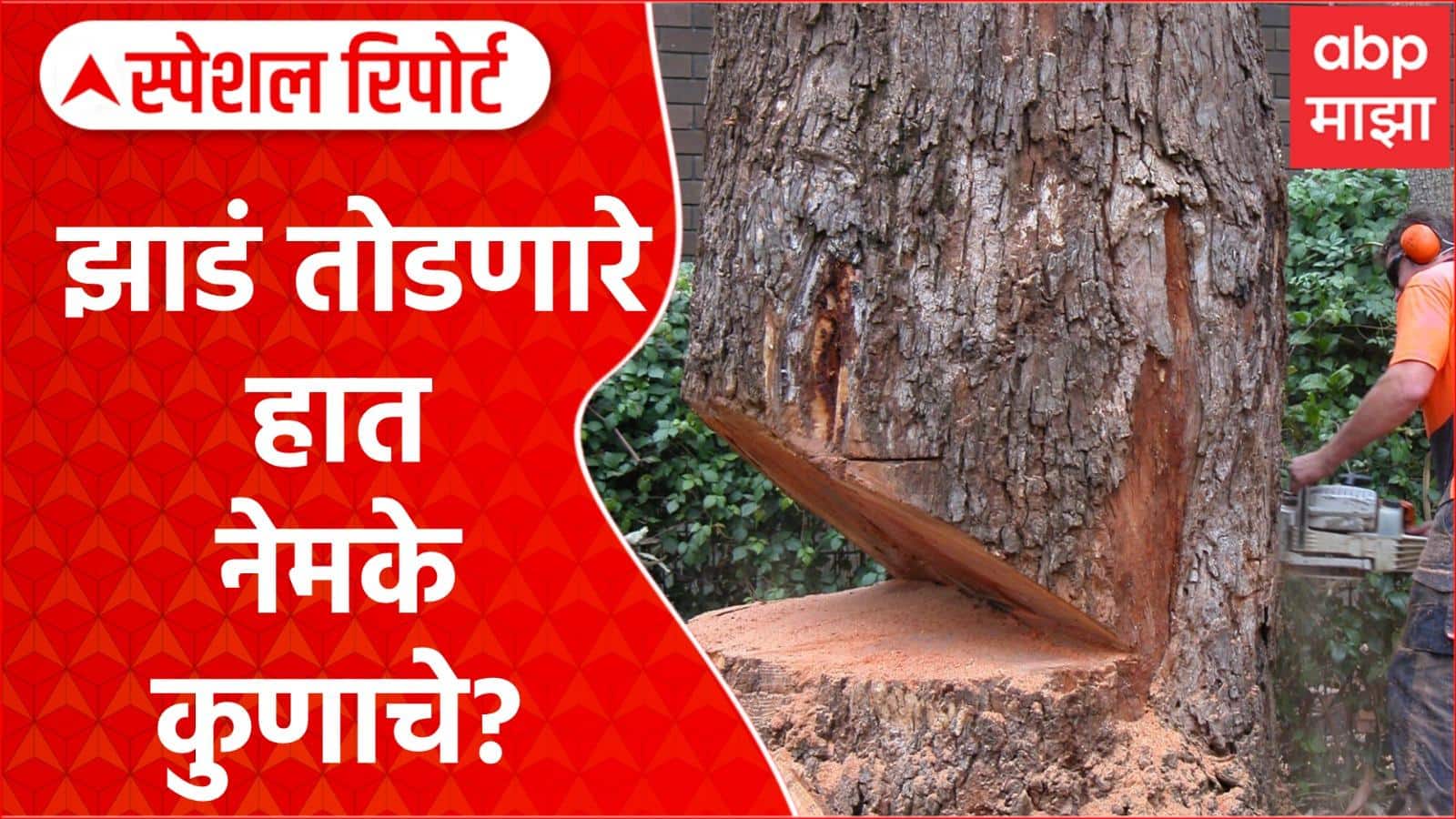 ABP News ABP News