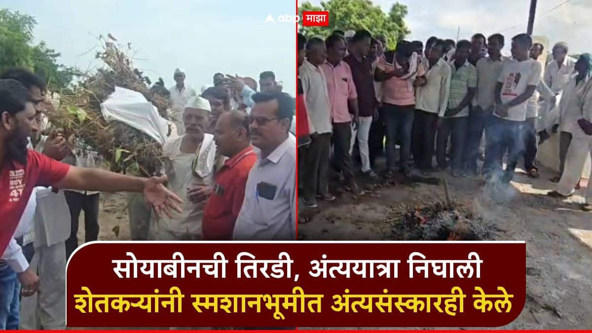 पावसाअभावी शेतकऱ्यांवर भीषण परिस्थिती; सोयाबीनची तिरडी, अंत्ययात्रा निघाली, स्मशानभूमीत अंत्यसंस्कारही केले