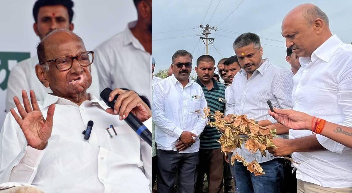 Rohit Pawar: दुष्काळ प्रश्नावर मुख्यमंत्र्यांना पत्र, आता शरद पवार थेट मैदानात उतरणार, मराठवाडा दुष्काळ पाहणी दौऱ्यातून रोहित पवारांचे संकेत, म्हणाले...