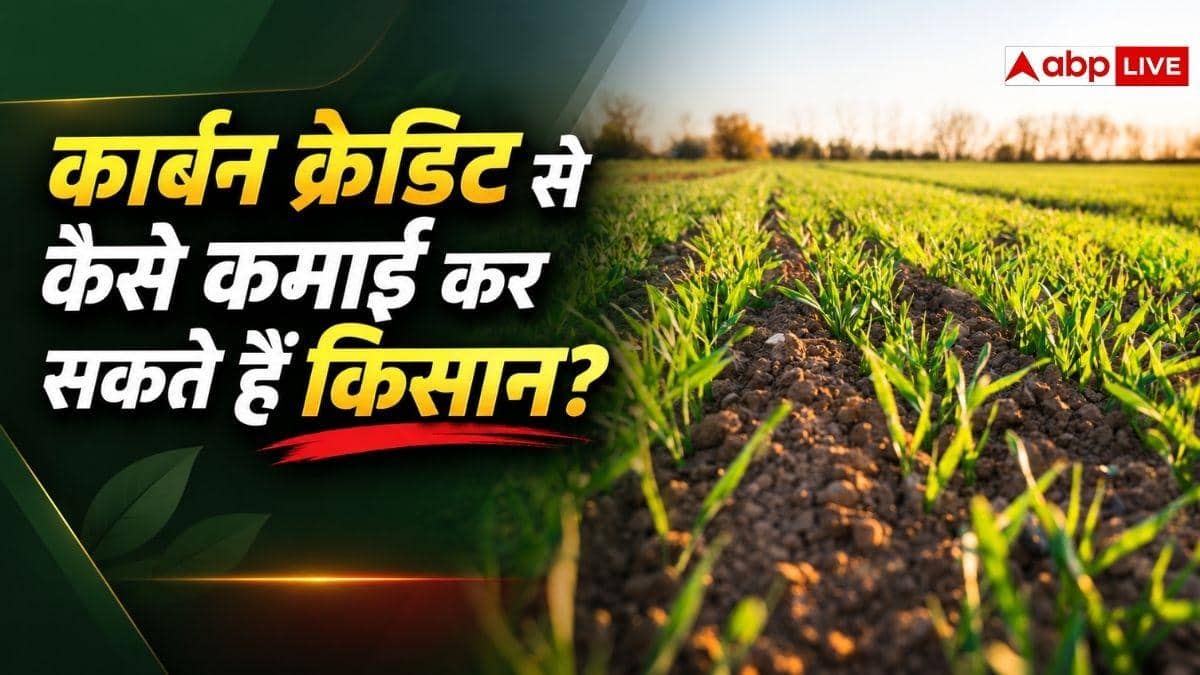 कार्बन क्रेडिट क्या है, इससे कमाई कैसे कर सकते हैं किसान?