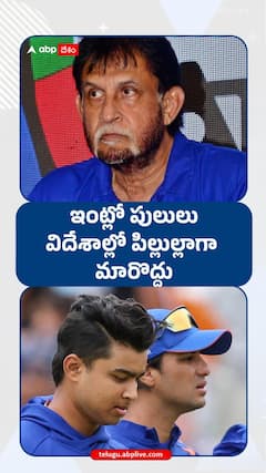 ఇంట్లో పులులు విదేశాల్లో పిల్లుల్లాగా మారొద్దు