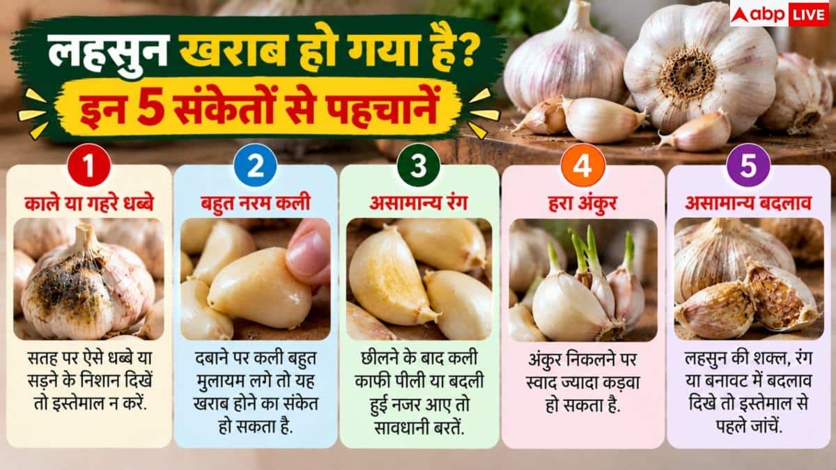 How To Store Garlic: लहसुन कितने दिन तक सही रहता है? जानें इसकी एक्सपायरी डेट