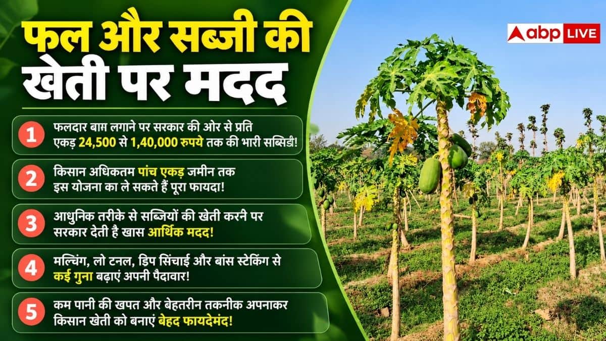 इस राज्य में किसानों को बागवानी के लिए सब्सिडी, जानें कैसे मिलेगी मदद?