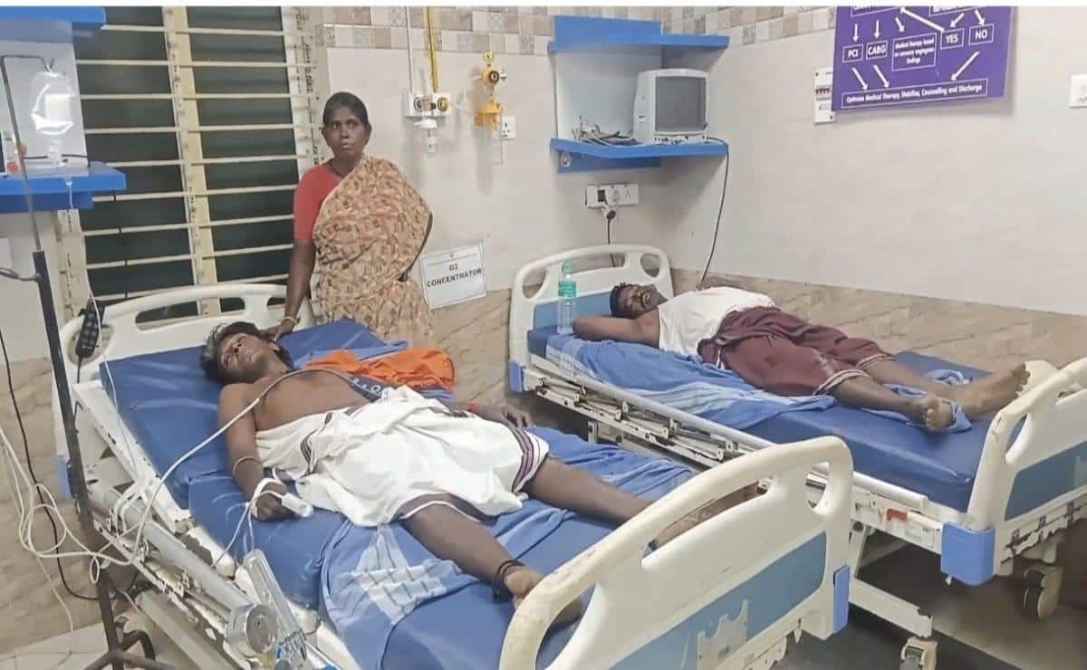 உசிலம்பட்டி: பொங்கல் புகையால் கதம்ப வண்டு தாக்குதல்... 25 பேர் காயம், அதிர்ச்சி!