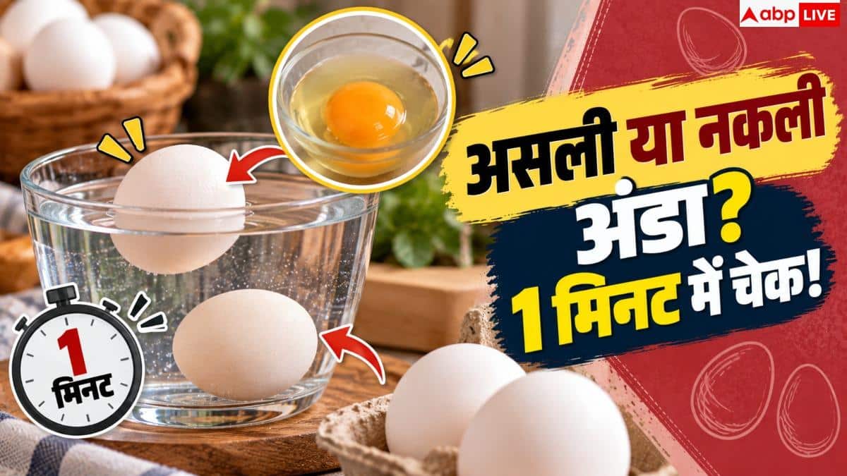 Real Egg Identification: असली और नकली अंडे की पहचान कैसे करें? नोट करें 2 मिनट का टेस्ट