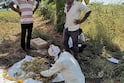 Akola Drought Crisis : अकोल्यात शेतकऱ्याला अवघे एकरी 750 ग्रॅम सोयाबीन उत्पादन; पीक कापणी अहवालातून परिस्थितीची भीषण दाहकता समोर, बळीराजा दुबार संकटात