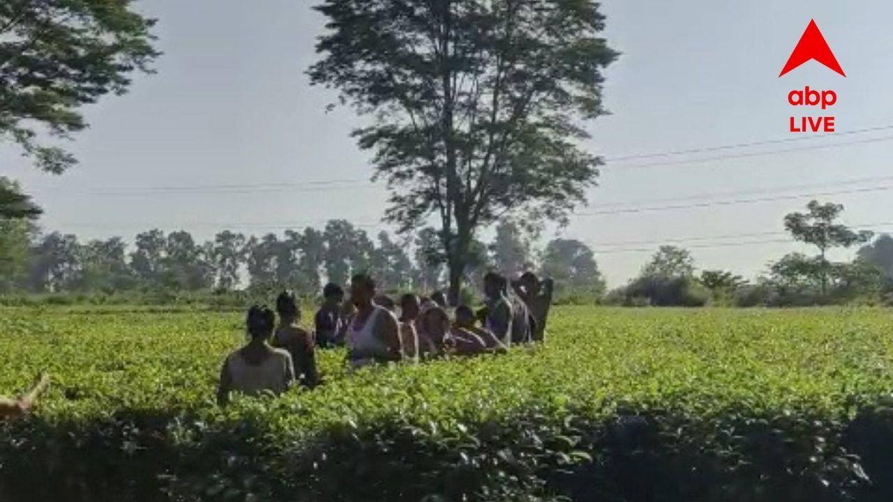 Alipurduar News:  মাত্র ৪৮ ঘণ্টার ব্যবধানে দ্বিতীয়বার হাতির হানায় মর্মান্তিক মৃত্যুর ঘটনা ঘটল আলিপুরদুয়ারে