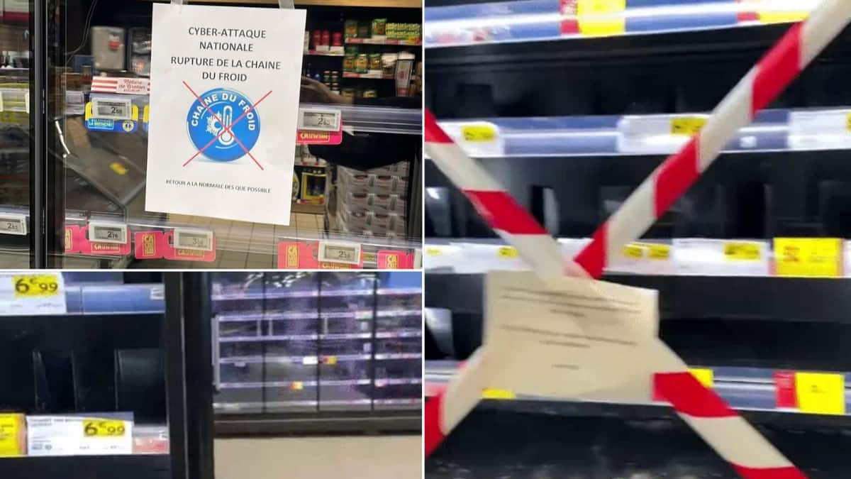 Cyberattack on Refrigeration: फ्रान्समधील शेकडो सुपरमार्केटच्या रेफ्रिजरेशन प्रणालीवर सायबर हल्ला; फ्रीझर तापमान 50 अंश सेल्सिअसपर्यंत पोहोचून आगीचा भडका