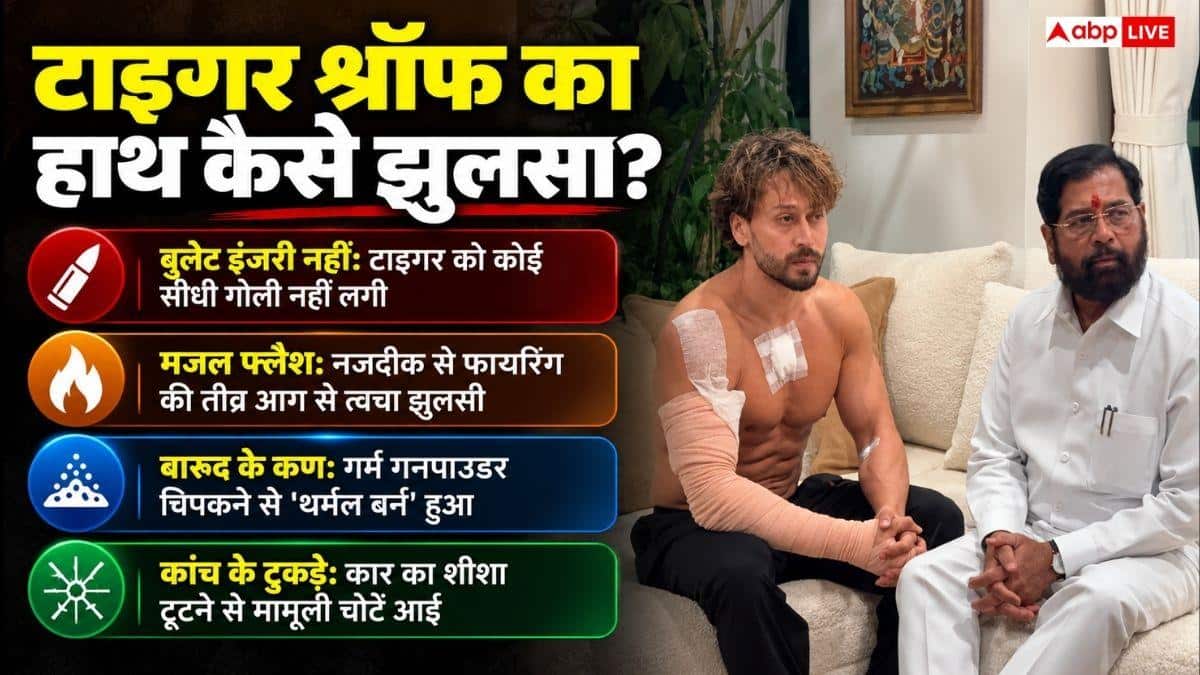बिना गोली लगे कैसे झुलसा टाइगर का हाथ, कैसे असर करता है गन पाउडर?
