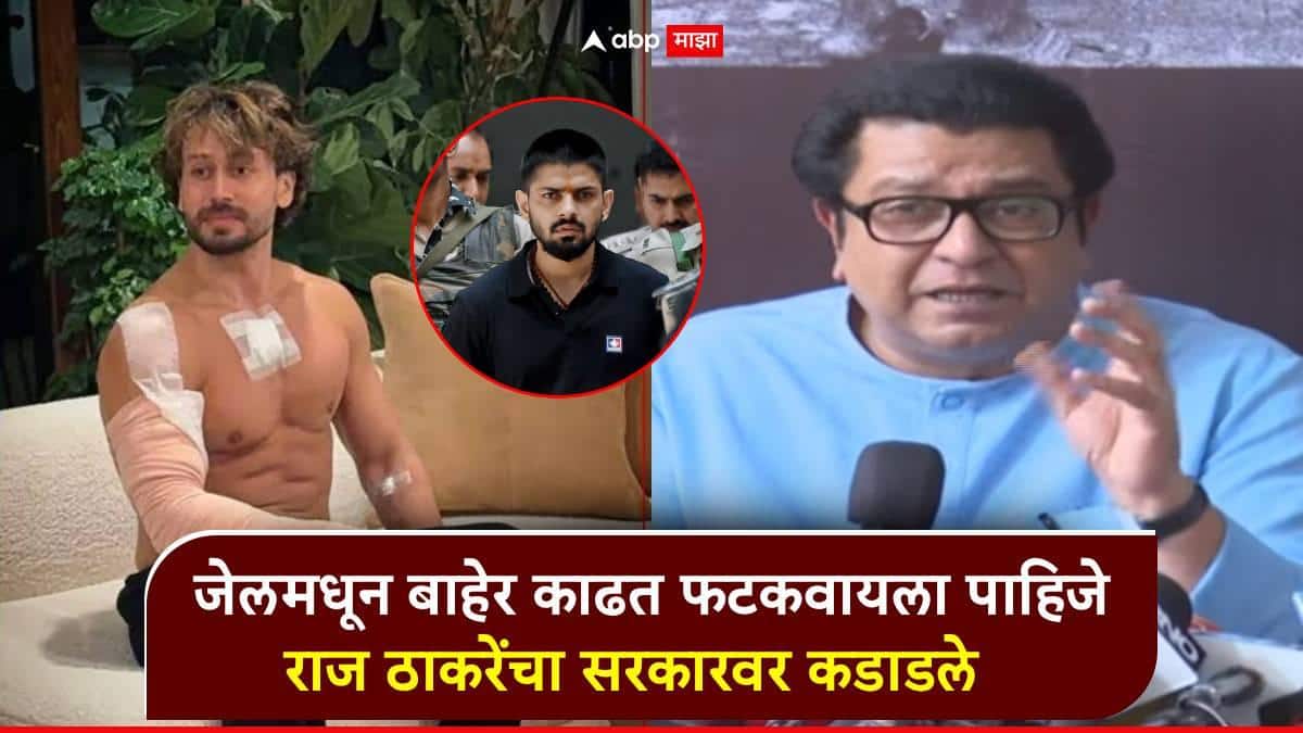 जेलमधून बाहेर काढत फटकवायला पाहिजे; टायगरवरील हल्ला, लॉरेन्स बिष्णोईच्या प्रश्नावर राज ठाकरेंचा सरकारला सवाल