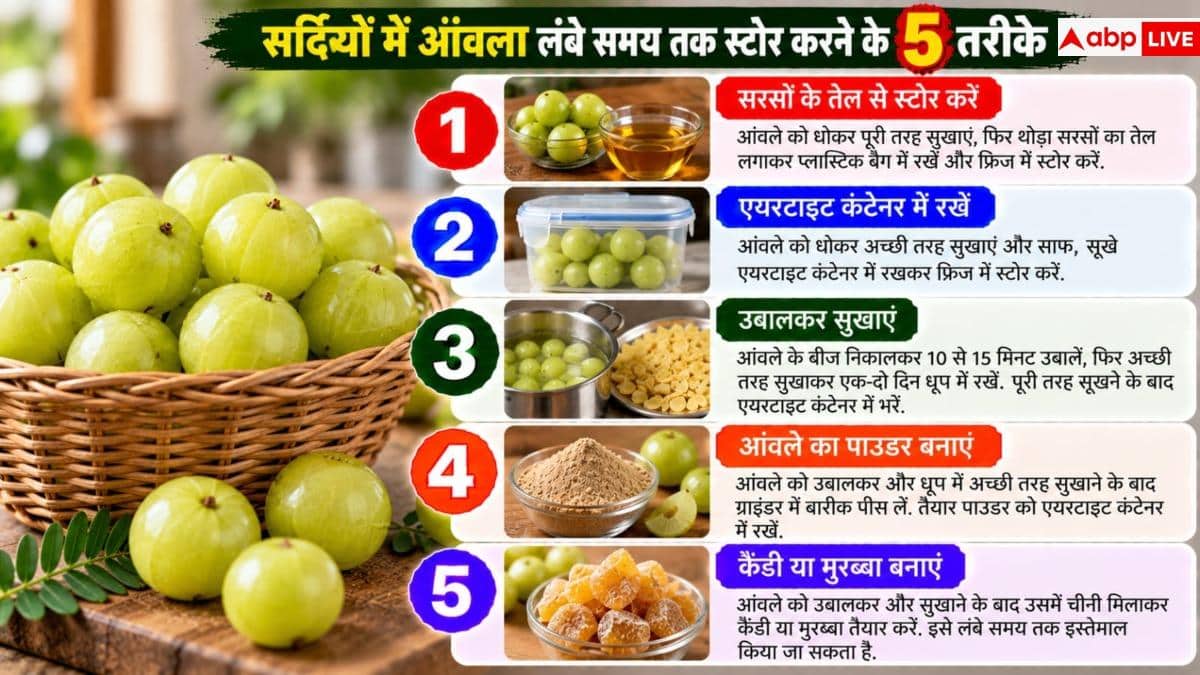 Amla Storage Tips: आंवला कैसे स्टोर करें कि महीनों चले? आजमाएं दादी-नानी के नुस्खे