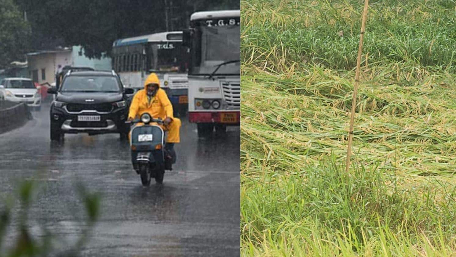 अरबी समुद्रात कमी दाबाचा पट्टा तयार! एका बाजूला उन्हाचा पारा वाढला, तर दुसऱ्या बाजूला वादळी वाऱ्यासह मुसळधार पाऊस