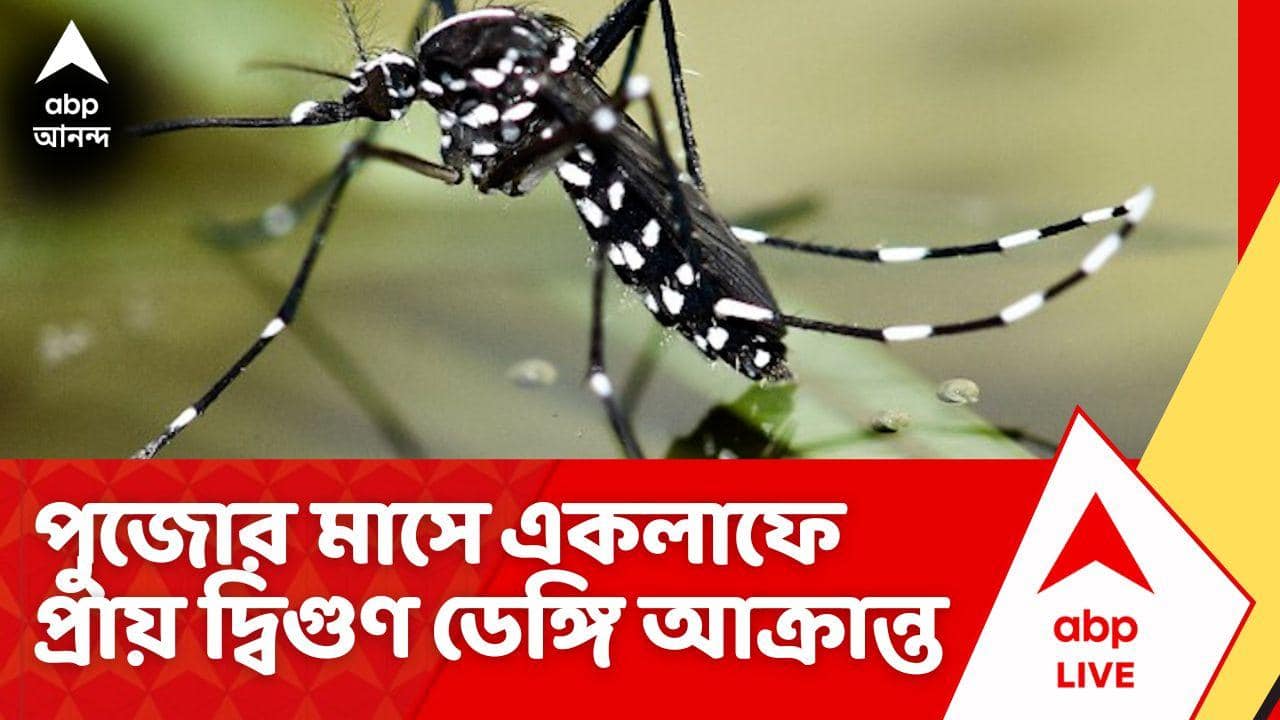 Dengue News: পুজোর মাসে একলাফে প্রায় দ্বিগুণ ডেঙ্গি আক্রান্ত