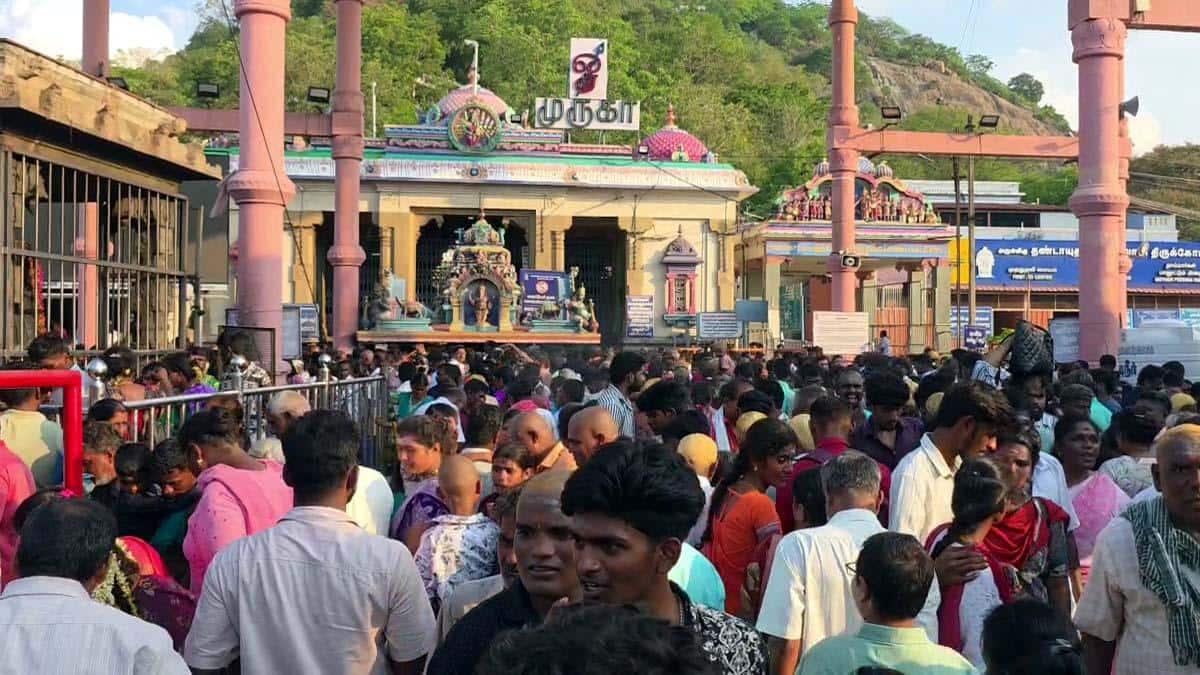 பழனி கோயில் பிரசாதம்: நவம்பர் 1 முதல் புதிய விலை! பக்தர்களே தெரிந்துகொள்ளுங்கள்..
