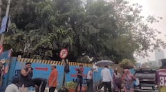 Mumbai Rains: मुंबईत पावसाची रिपरिप, अचानक पाऊस कोसळल्यानं नागरिकांची तारांबळ, दादर परिसरात पावसाच्या सरी, PHOTOs