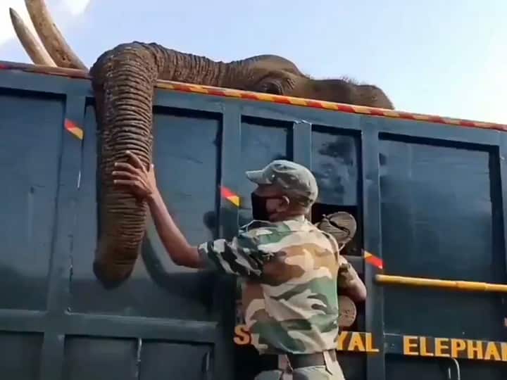 Tamil Nadu Elephant Death: Forest Officer Cries Incessantly Holding Dead Elephant's Trunk, Netizens Share Emotional Video TN Elephant Death: Forest Official Cries Incessantly Holding Dead Elephant's Trunk, Netizens Share Emotional Video