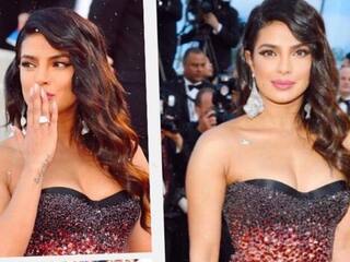 Priyanka Chopra Cannes Film Festival Dress Zipper Broke Before Her Appearance Actress Reveals In Instagram Post Wardrobe Malfunction