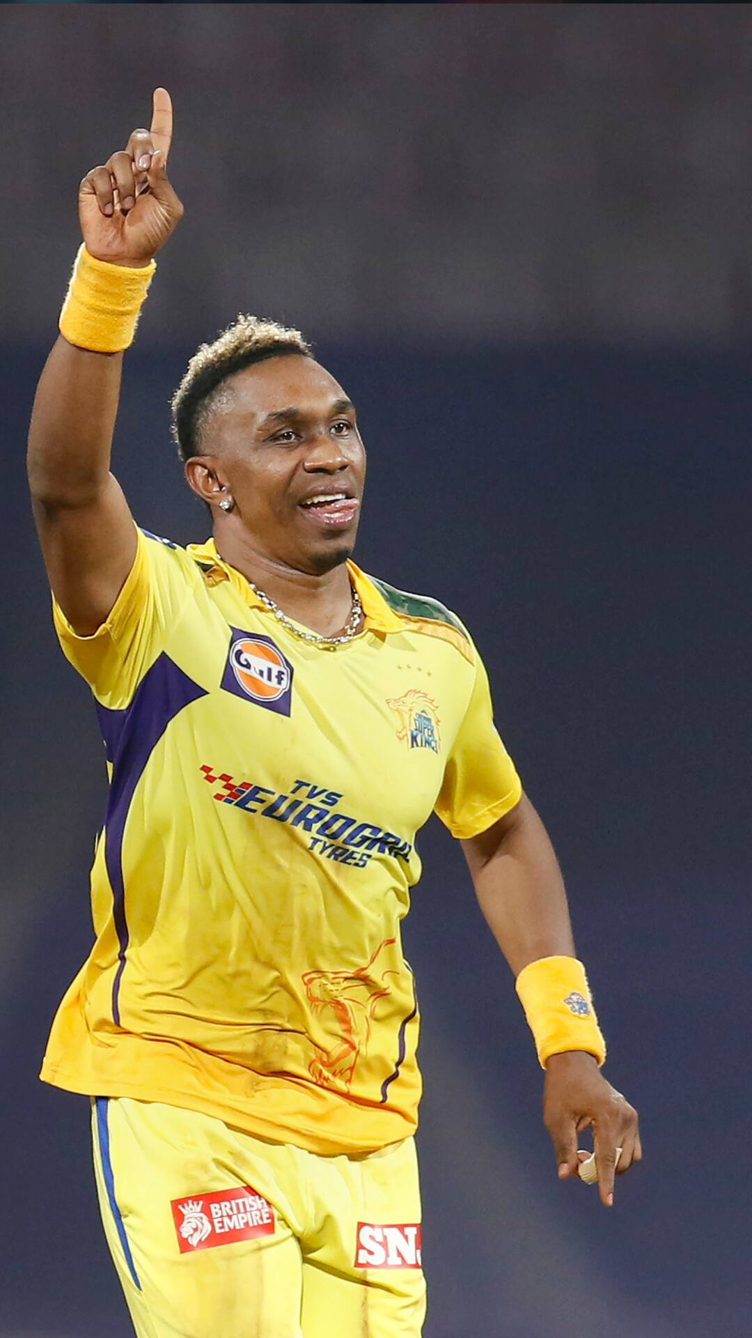 Dwayne Bravo Performances Over The Years in IPL Dwayne Bravo Performances Over The Years in IPL